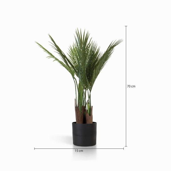 Palma ornamental 70 cm - Imagen 3