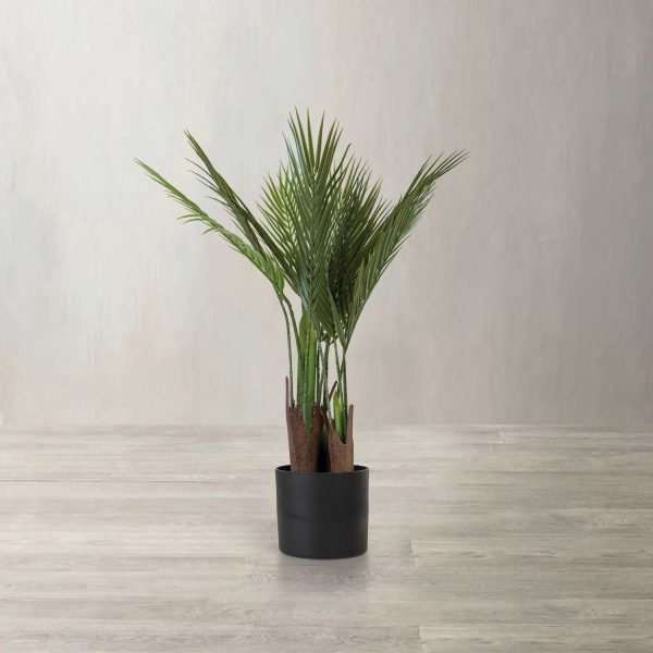 Palma ornamental 70 cm - Imagen 2