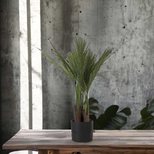 Palma ornamental 70 cm - Imagen 4