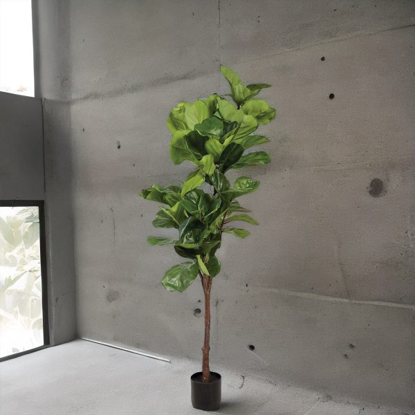 Árbol Lyrata Artificial 165 cm - Imagen 4
