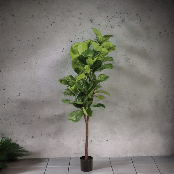 Árbol Lyrata Artificial 165 cm - Imagen 6