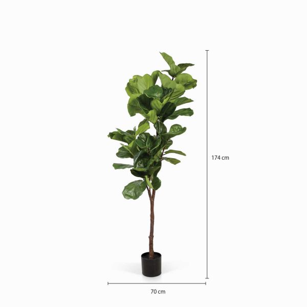 Árbol Lyrata Artificial 165 cm - Imagen 3