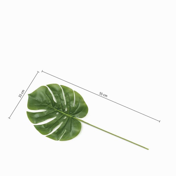 Mini hoja monstera - Imagen 3