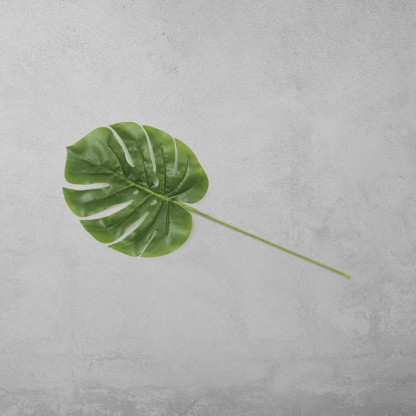 Mini hoja monstera - Imagen 2
