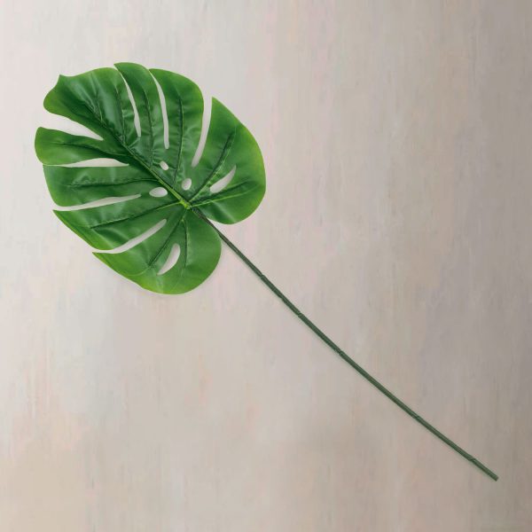 Hoja Monstera - Imagen 2