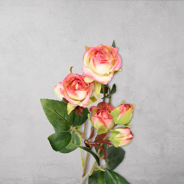 Mini Rosas x 5 - Imagen 2