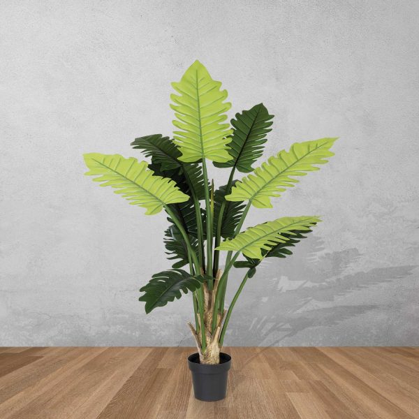 Planta Philo 150 cm - Imagen 2
