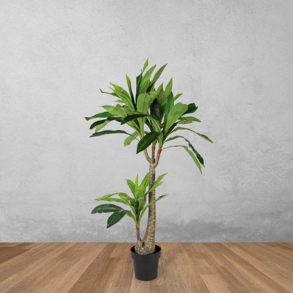 Dracena 130 cm - Imagen 2