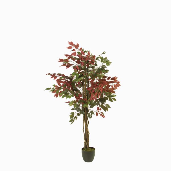 Árbol Ficus 150 cm - Imagen 5