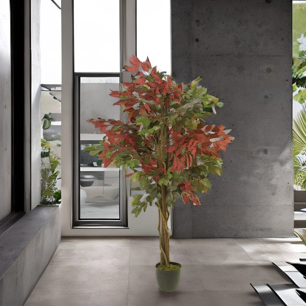 Árbol Ficus 150 cm - Imagen 4