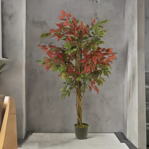 Árbol Ficus 150 cm - Imagen 6