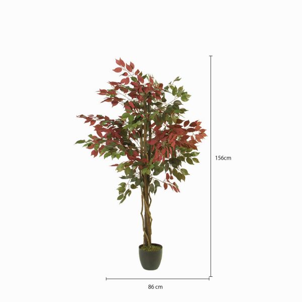 Árbol Ficus 150 cm - Imagen 3