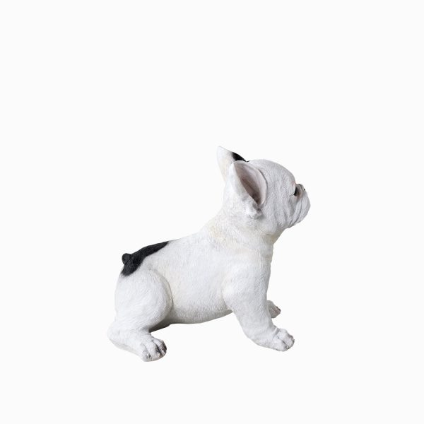 Bulldog Francés Sentado - Imagen 6