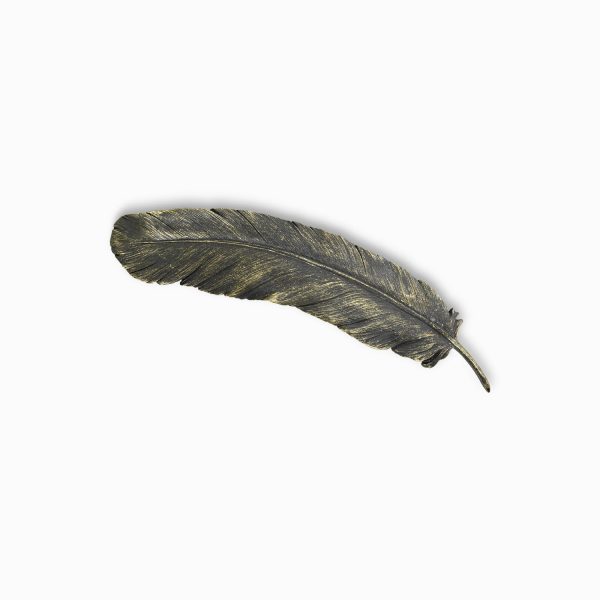 Pluma en Resina
