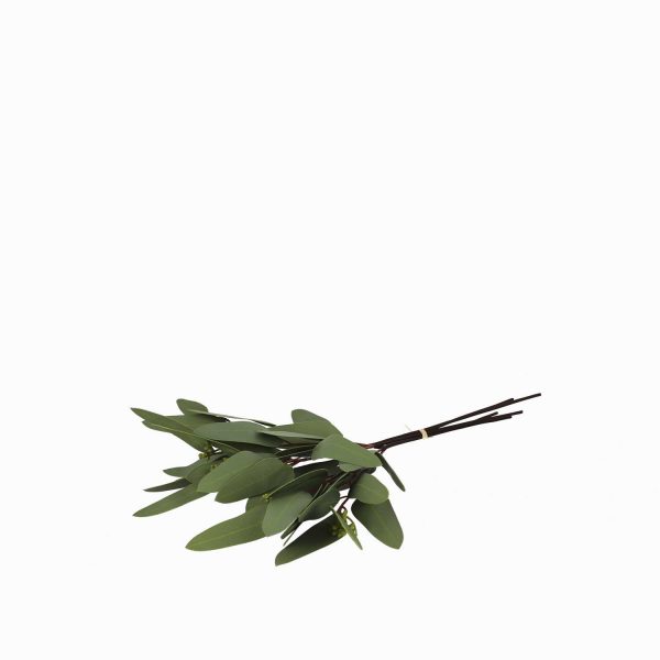 Racimo eucalipto largo 40cm