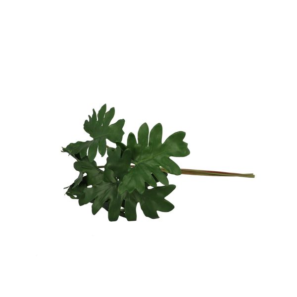 Racimo Hoja Filo