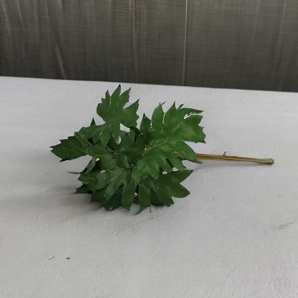 Racimo Hoja Filo - Imagen 4