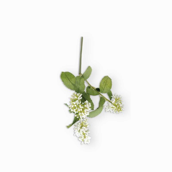Flor de tallo blanca - Imagen 5