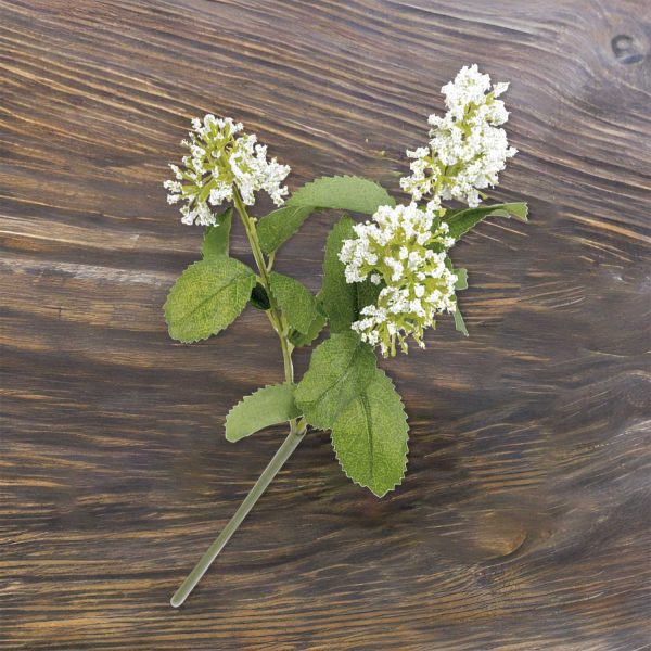 Flor de tallo blanca - Imagen 4