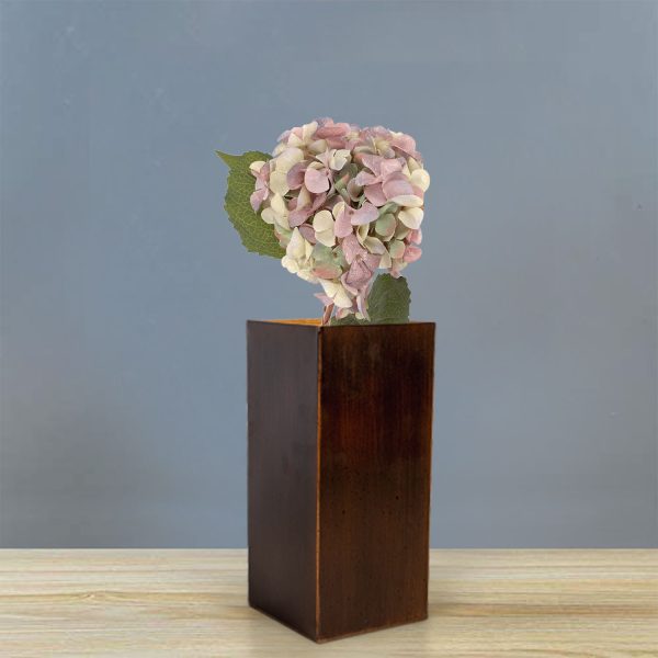 Hortensia Purpura - Imagen 4