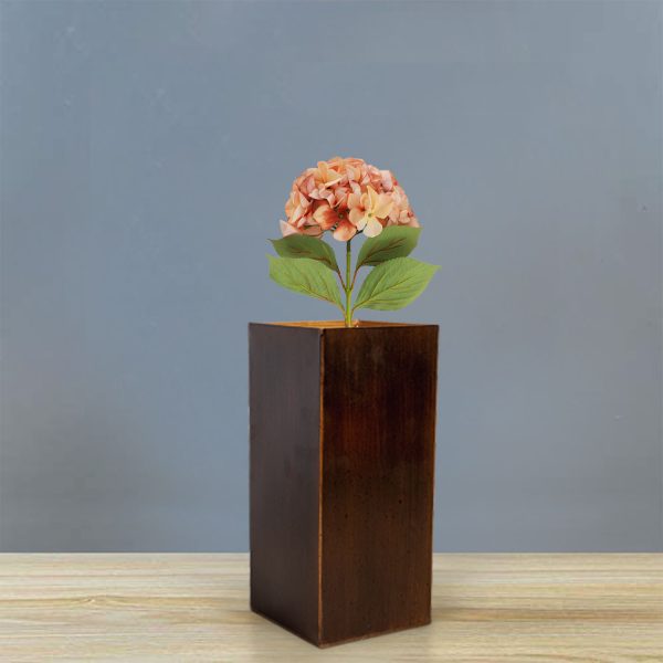 Hortensia Durazno - Imagen 4