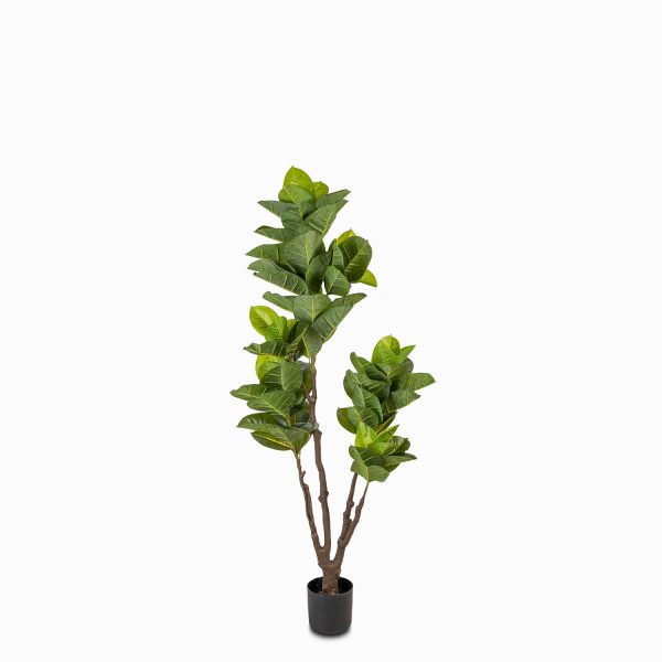 Árbol de Caucho Artificial 160 cm - Imagen 5