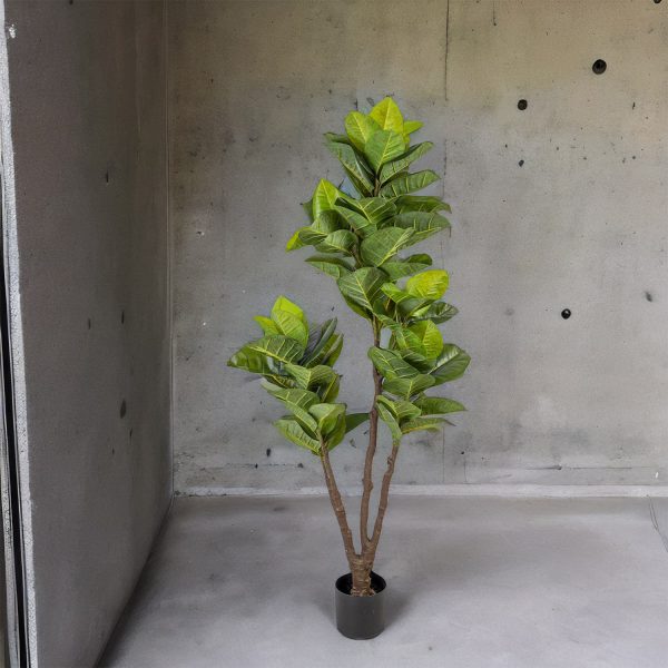 Árbol de Caucho Artificial 160 cm - Imagen 4