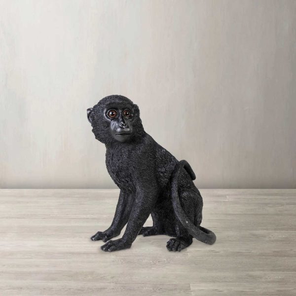 Mono negro - Imagen 2