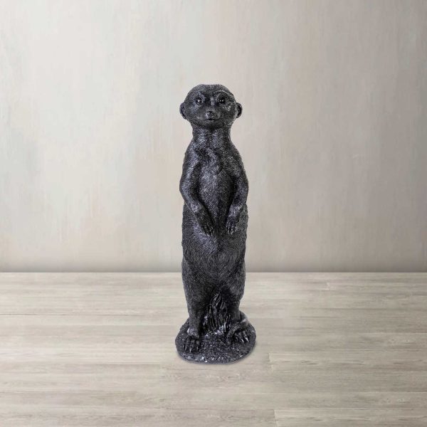 Suricato negro - Imagen 2