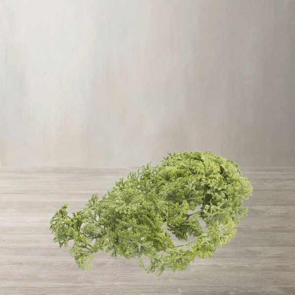 Hierba - Imagen 2
