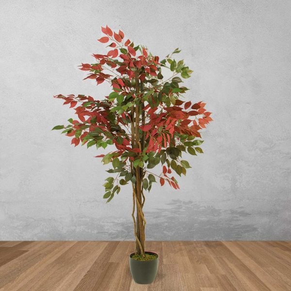 Árbol Ficus 150 cm - Imagen 2
