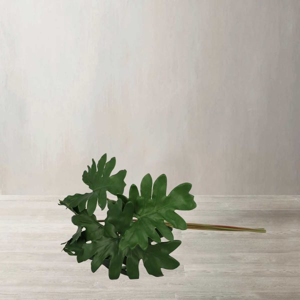 Racimo Hoja Filo - Imagen 2