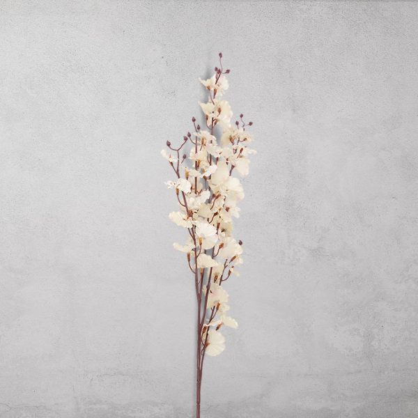 Orquídea Danzante Blanca - Imagen 2