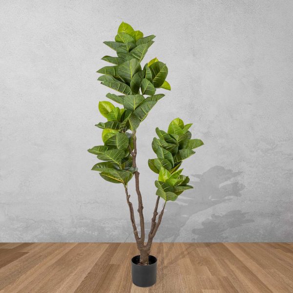 Árbol de Caucho Artificial 160 cm - Imagen 2