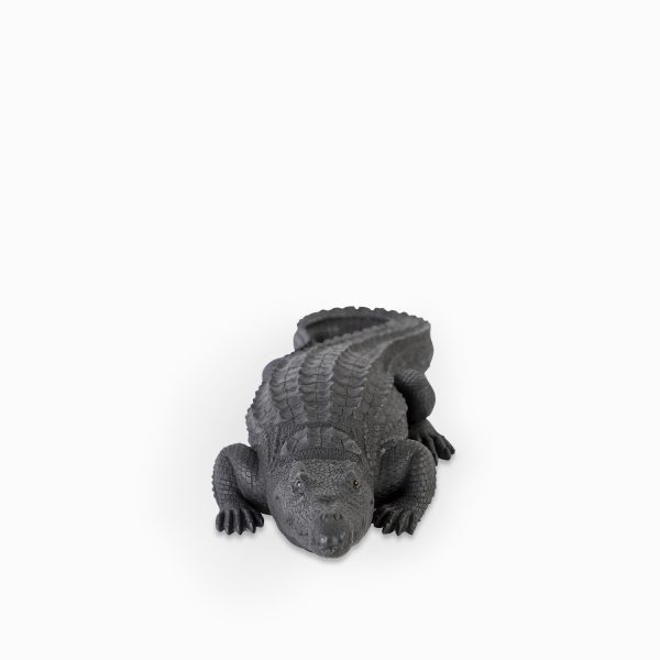 Cocodrilo Negro - Imagen 5