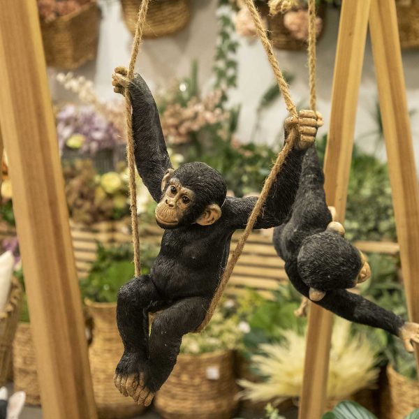 Chimpancé Columpio - Imagen 4