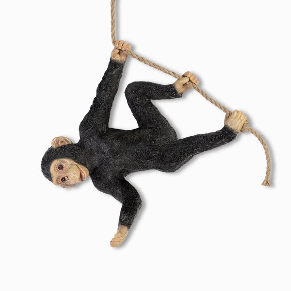Chimpancé Malabarista