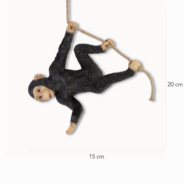 Chimpancé Malabarista - Imagen 3