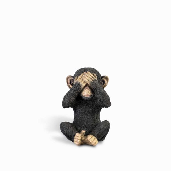 Chimpance ojos