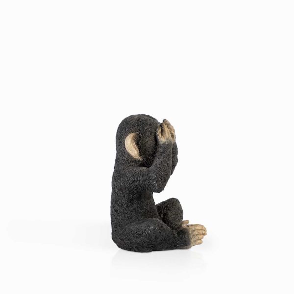 Chimpance ojos - Imagen 5