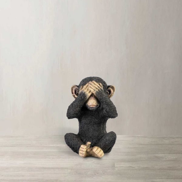 Chimpance ojos - Imagen 2