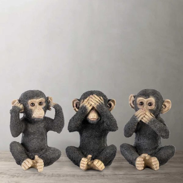 Chimpance ojos - Imagen 4
