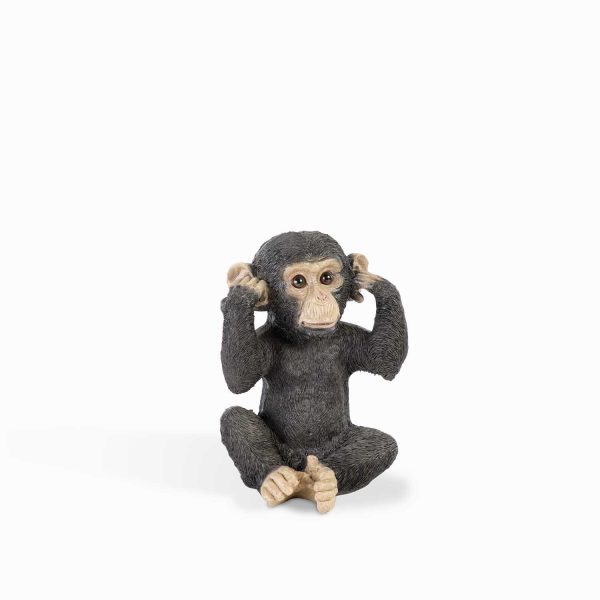 Chimpance oídos
