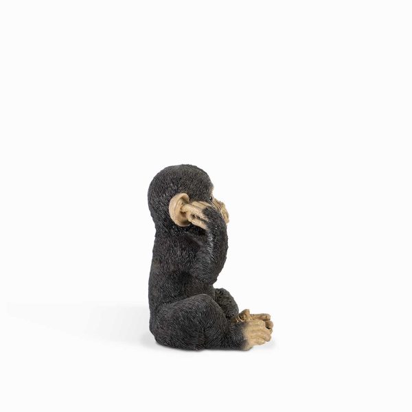 Chimpance oídos - Imagen 5