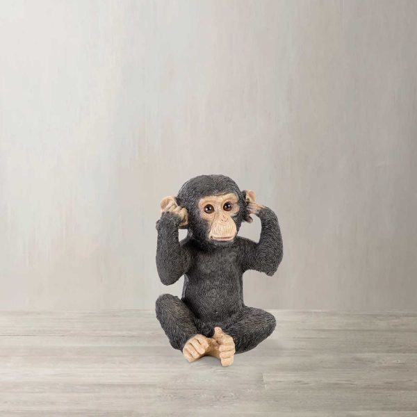 Chimpance oídos - Imagen 2