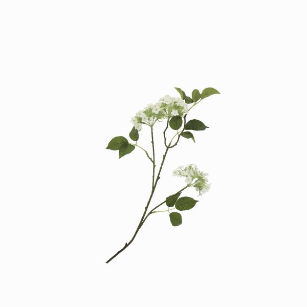 Racimo hortensia blanca - Imagen 5