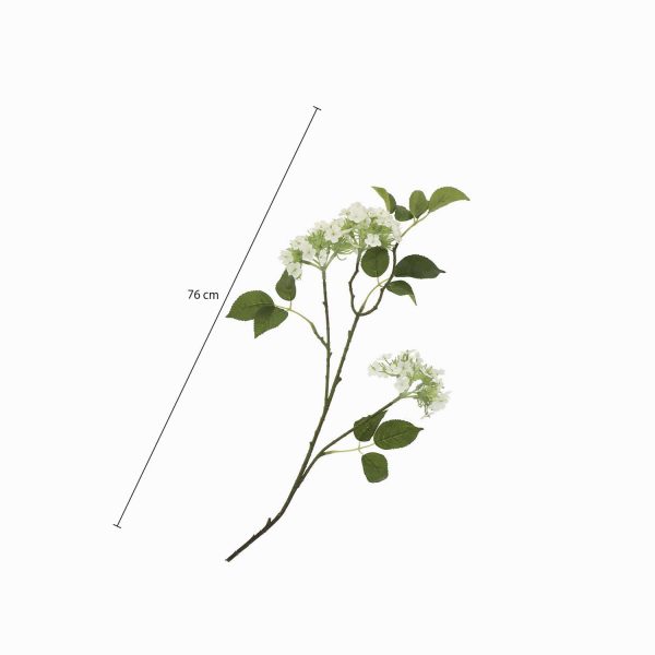 Racimo hortensia blanca - Imagen 3