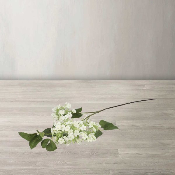 Racimo hortensia blanca - Imagen 2