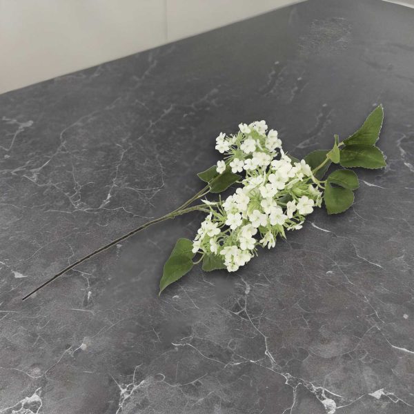 Racimo hortensia blanca - Imagen 4