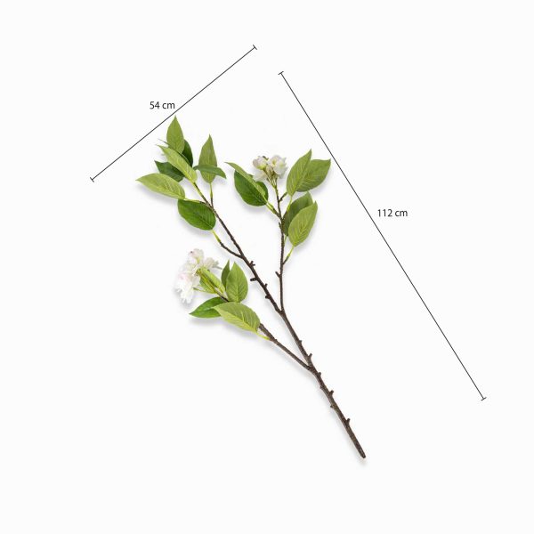 Flor de cerezo blanca - Imagen 3